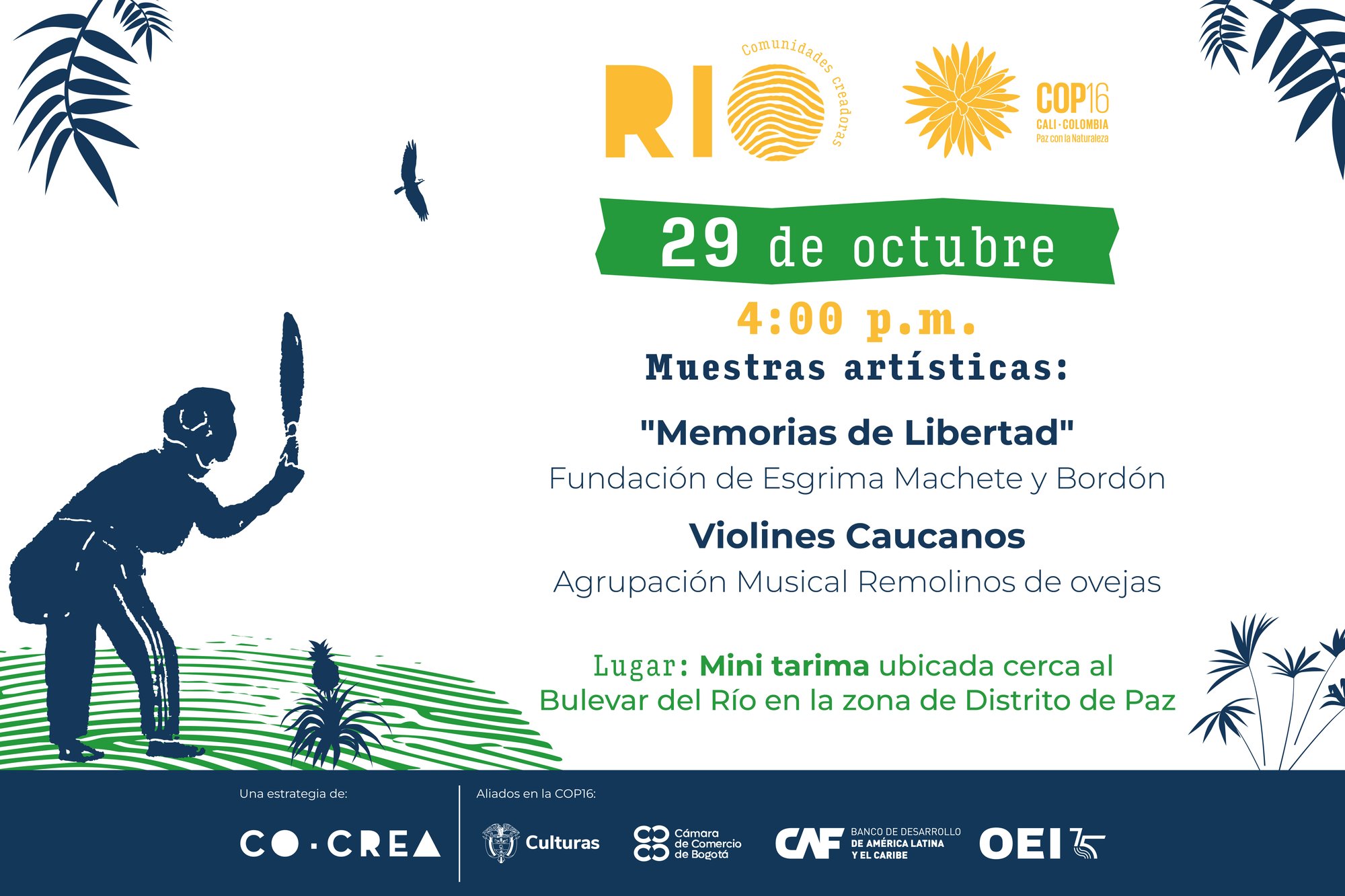 COP16 INVITACION_banner 29